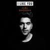 I Like You - Guru Randhawa