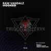 Hooked (Pablo Caballero remix) - Raw Vandalz