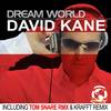 Dream World (Danny Wild Radio Edit) - David Kane