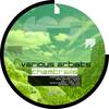 Tribal Game (Original Mix) - Bilro&Barbosa