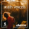 Irish Voices (Original Mix) - DJ Selecta&Envegas