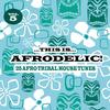 Afrodisium (Groovenatics Remix) - Gabriel & Castellon