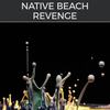 Revenge (D-Soriani House MIx) - Native Beach