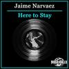 Here To Stay (Disco Wave Mix) - Jaime Narvaez