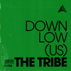 The Tribe (Extended Mix) - DOWNLow (US)