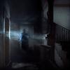 Entity - Omar Meho