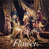 Flower Garden - Flower