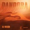 Pandora (Radio Mix) - Ali Wilson