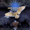 The River (Dela Moon) - Tony Moss&dela Moon&Bird Tribe