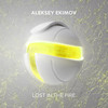Lost In The Fire - Aleksey Ekimov