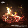 Dancing on Fire (Nelin Remix) - Javier Duque&NELIN
