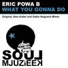 What You Gonna Do (Original Mix) - Eric Powa B