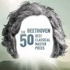 I. Allegro moderato - Ludwig van Beethoven&Anner Bylsma&Jos Van Immerseel&Vera Beths