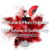 Flamenco - Kone&Marc Palacios&Nick Tohme&Soheil Ray