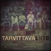 Tarvittava liite - Anselmi