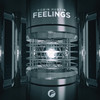 Feelings - Robin Hustin
