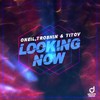 Looking Now - oneil&Troshin&Titov