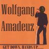 Get Down, Hands Up(feat. DJ Aa7) - Wolfgang Amadeuz&DJ Aa7