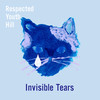 Invisible tears (feat. akiko) - Respected Youth Hill&Akiko