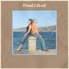 Untested Pattern - Maric Delin