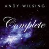 Complete(Radio Edit) (Radio Edit) - Andy Wilsing