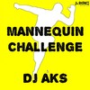 Mannequin Challenge (Arabic Version) - DJ AKS