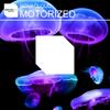 Motorized - Novacloud