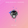 My Life (Explicit) - Space Primates&Goldford