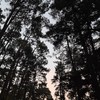 Falling - Jrl