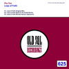 Leap of Faith (Spirit & The Guide Remix) - Plu-Ton&The Guide