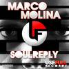 Soulreply (Marco Vistosi Remix) - Marco Molina&Marco Vistosi