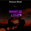 What Is Love - (Eletro Remix) - Gravezaum Stronda