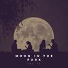 Moon In The Park (Instrumental) - Jay Te