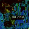 Public Kiss - The Blinding