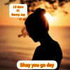 Shay you go dey - Lil Dave&Benny Jay