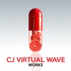 Selection (Original Mix) - CJ Virtual Wave