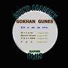 Dream (Original Mix) - Gokhan Gunes