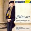 I. Allegro con brio - South West German Radio Symphony Orchestra&Roger Norrington