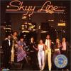 Get into the Beat - Skyy