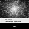 Control (Radio Edit) - Nei Fidelis