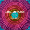 Tribute to Previous Lifetimes (DJ Jauche Rework) - Norman Weber&DJ Jauche