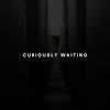 Curiously Waiting (Original Mix) - Hobbs FOV