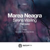 Sirens Wailing (Neptun 505 Remix) - Marea Neagra&Neptun 505