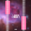 i won't (Explicit) - T. Shaheed