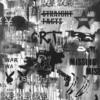 Straight Facts (Explicit) - Lane-Harry X Ike Campbell