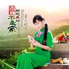 别处再好不是家 - 王二妮