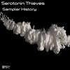 Sampler History (Original Mix) - Serotonin Thieves