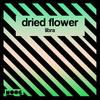 Libra - Dried Flower