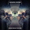 Andino (Brain Food Mix) - Acoustic System