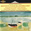 Variations on a Theme of Frank Bridge, Op. 10: X Chant - English Symphony Orchestra